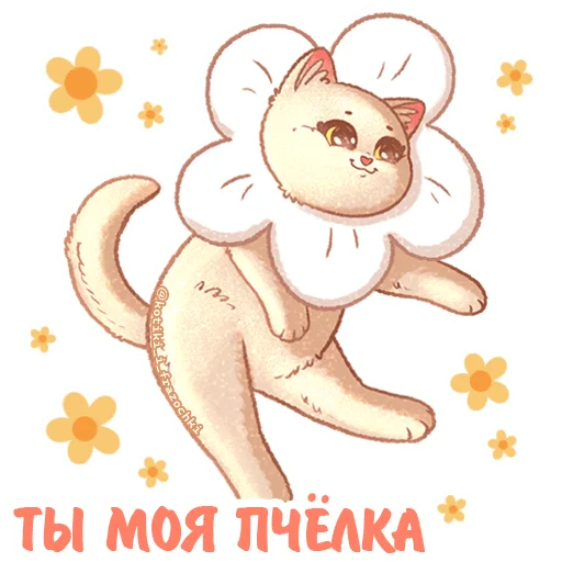 Эмодзи летние котики