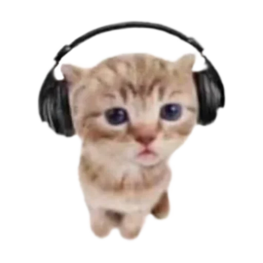 🎧
