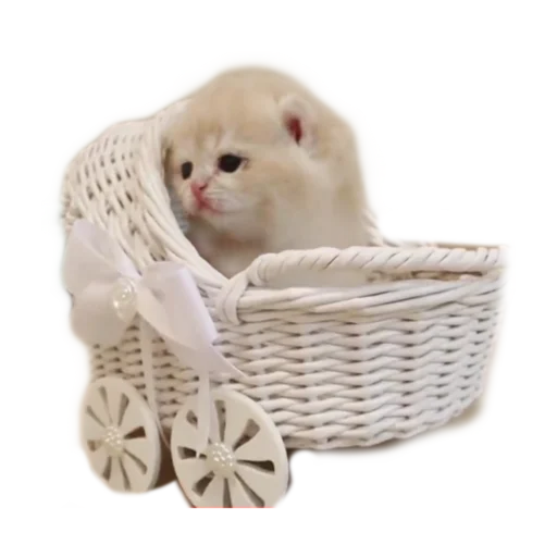 Эмодзи стикеркэт♡
