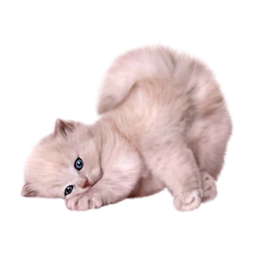 Эмодзи стикеркэт♡