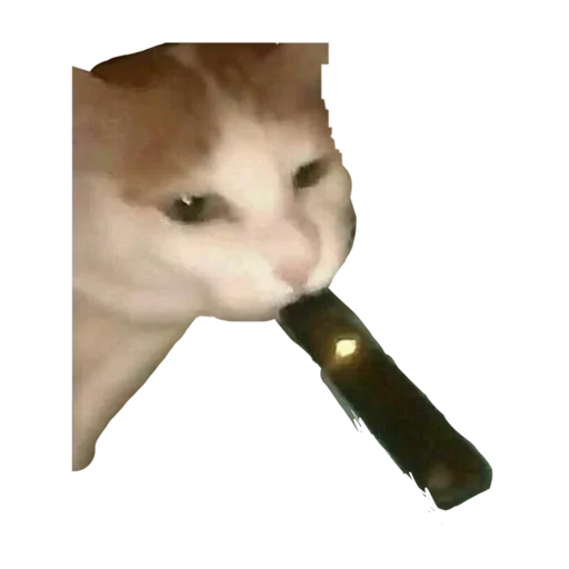 Эмодзи стикеркэт♡