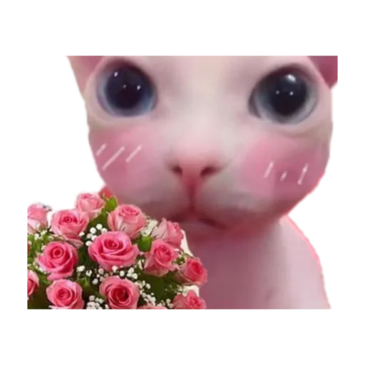 Эмодзи стикеркэт♡