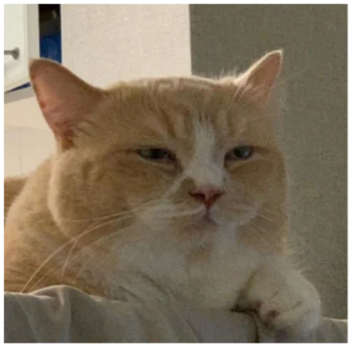 Эмодзи Кисы