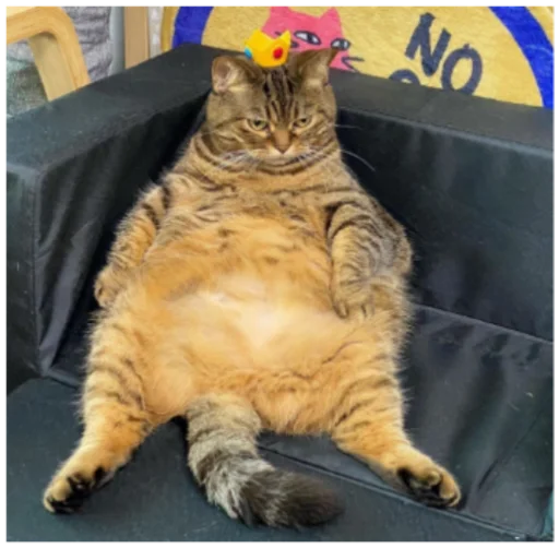 Эмодзи Кисы