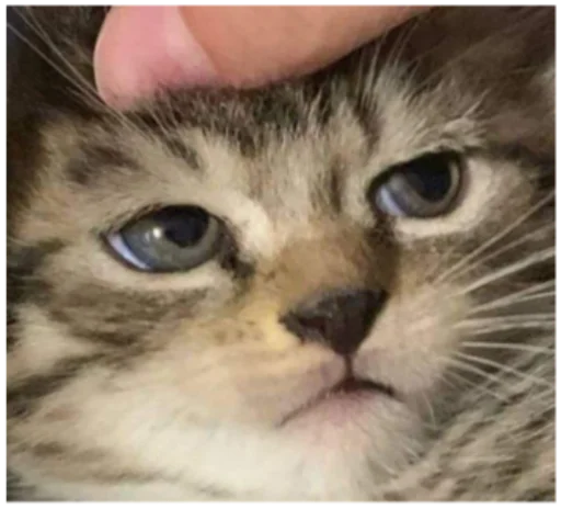 Эмодзи Кисы