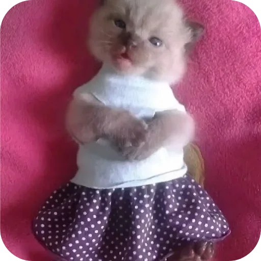 Эмодзи киски и собачки