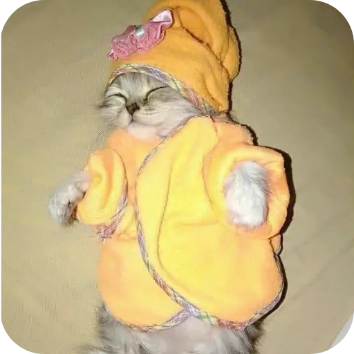 Эмодзи киски и собачки