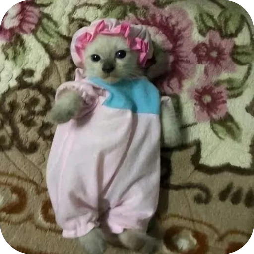 Эмодзи киски и собачки