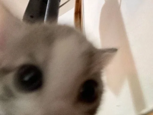 Эмодзи kitiki