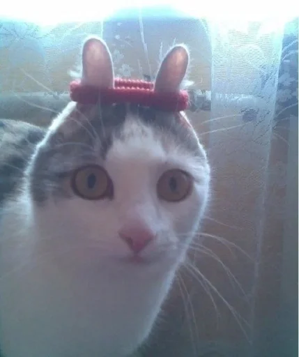 Эмодзи kitiki