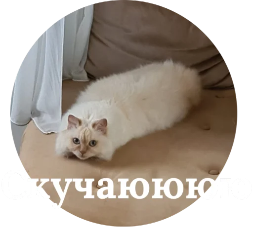 Эмодзи Кисюня