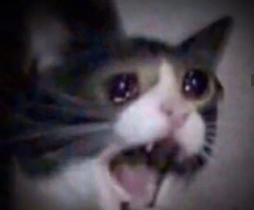 Эмодзи Кися