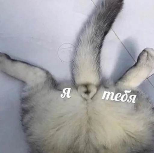 Эмодзи Кися