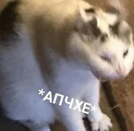 Эмодзи Кися