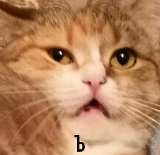 Эмодзи Кися