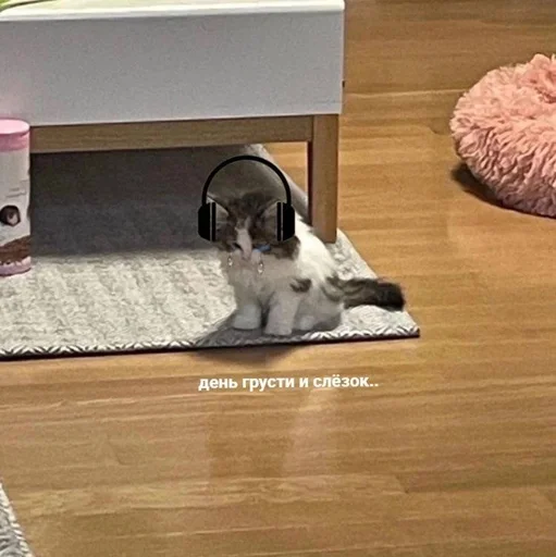 Эмодзи котейки