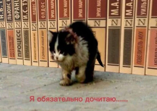 Эмодзи котейки
