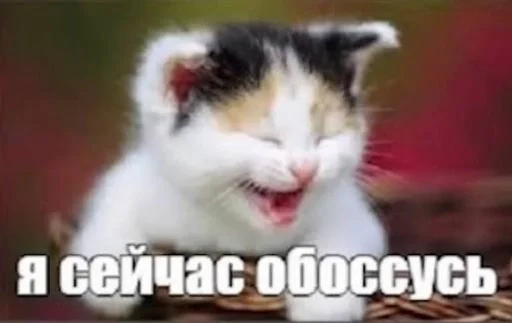 Эмодзи котейки