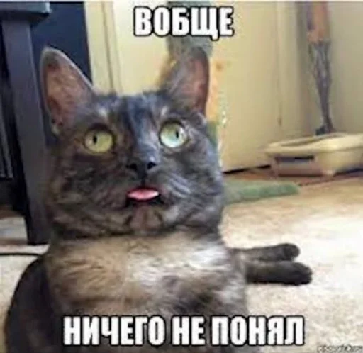 Эмодзи котейки