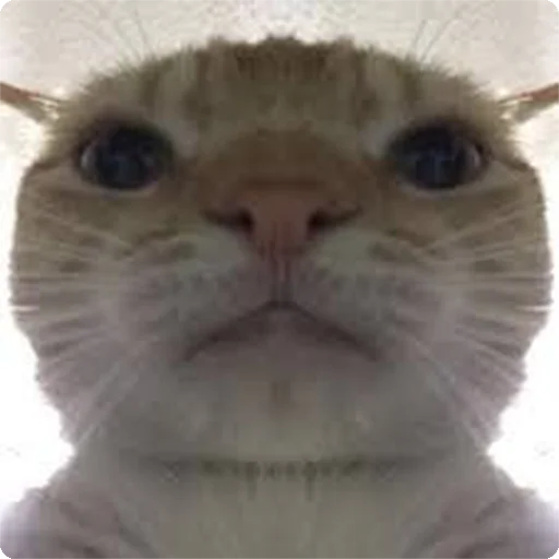 😐