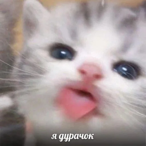 Эмодзи kitiiiiiikiiiii