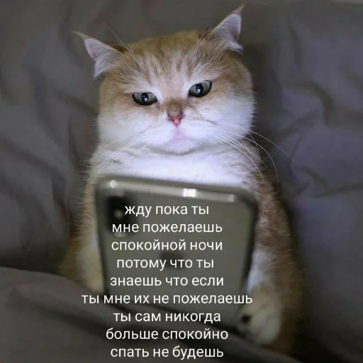 Эмодзи kitiiiiiikiiiii