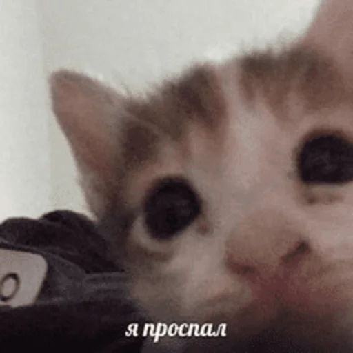 Эмодзи Китики