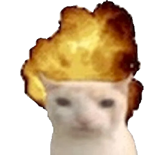 Эмодзи хайповые котики