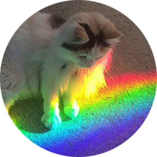 Эмодзи Kittens