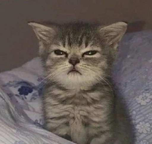Эмодзи kittens