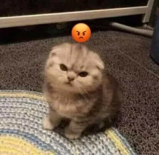 Эмодзи kittens