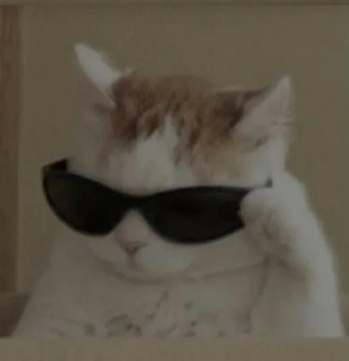 Эмодзи kittens