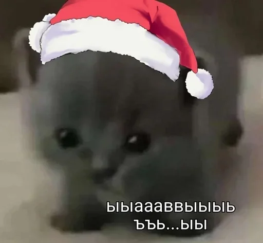 ?