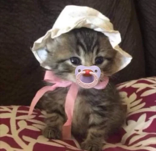 Эмодзи котенки