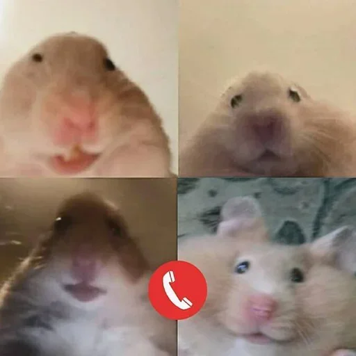 Эмодзи Kitties.exe 2