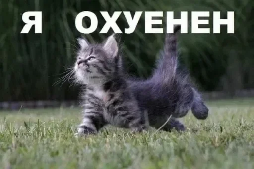 Эмодзи Kitties.exe 2