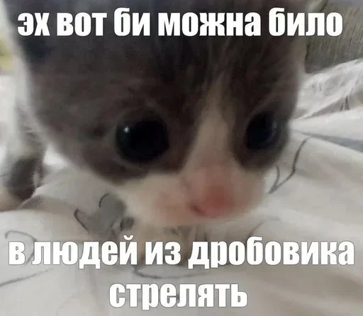 Эмодзи Kitties.exe 2
