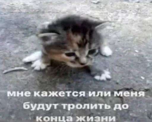 Эмодзи Kitties.exe 2