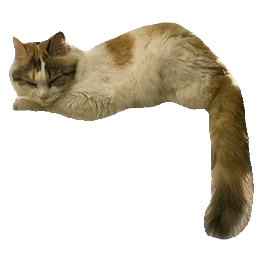 Эмодзи киттики