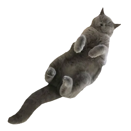 Эмодзи киттики