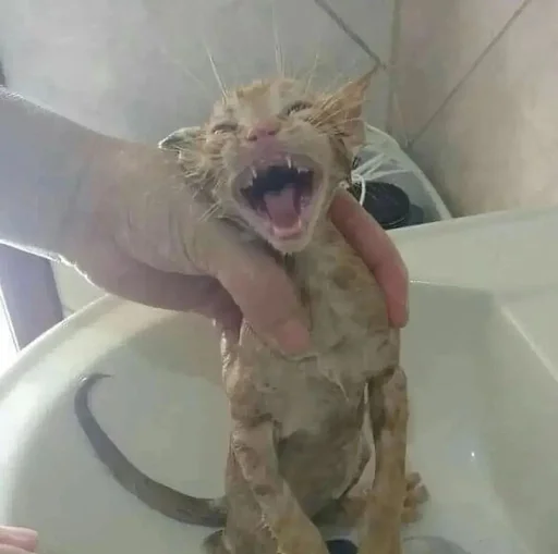 😝
