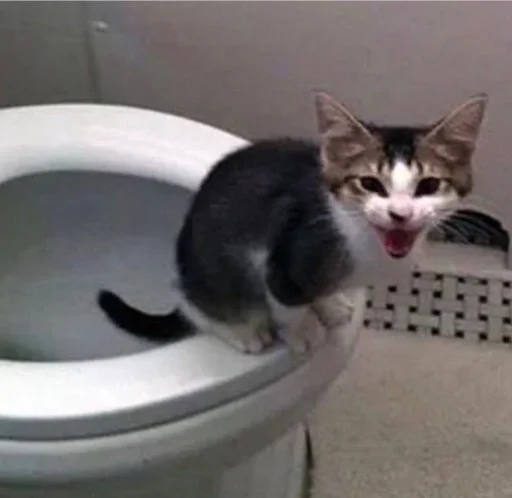Эмодзи cats