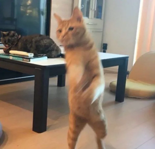 Эмодзи cats