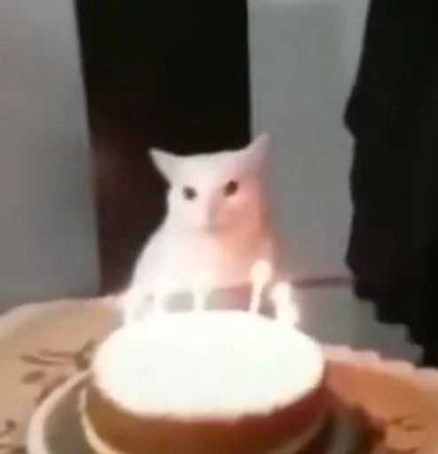 Эмодзи котики милые