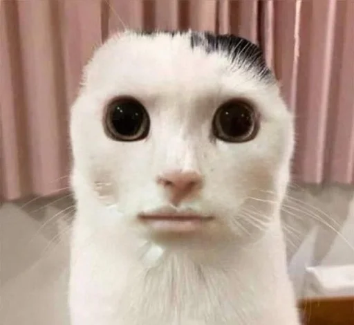 Эмодзи котики милые