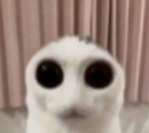 Эмодзи котики милые