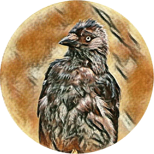 Эмодзи kizhi bird