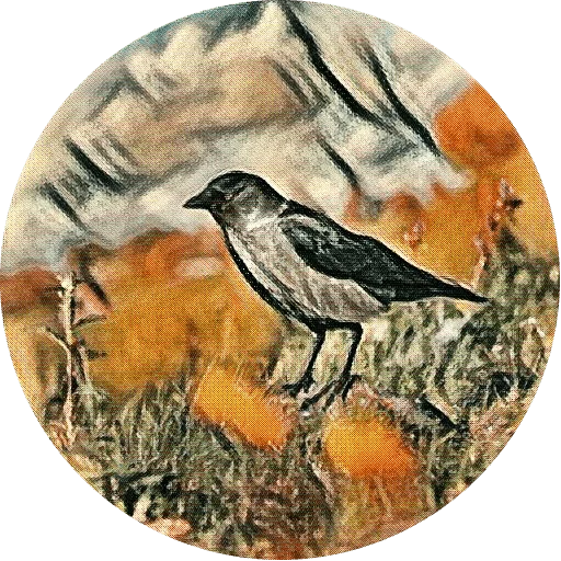 Эмодзи kizhi bird