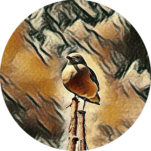 Эмодзи kizhi bird