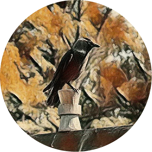 Эмодзи kizhi bird